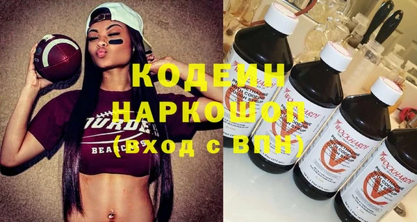 гашик Костерёво