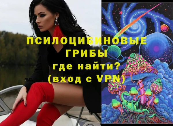 прущие грибы Краснотурьинск