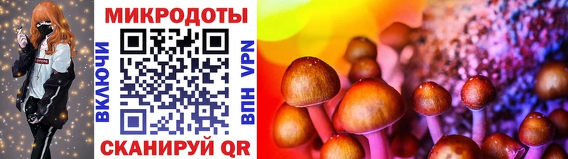 OMG ССЫЛКА  Ленинск-Кузнецкий  Галлюциногенные грибы Cubensis 