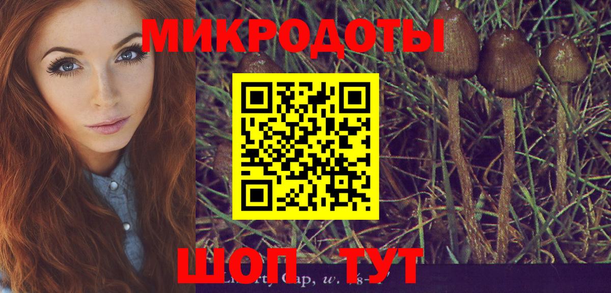 наркошоп  Псилоцибиновые грибы прущие грибы  Вход с VPN  Ленинск-Кузнецкий 