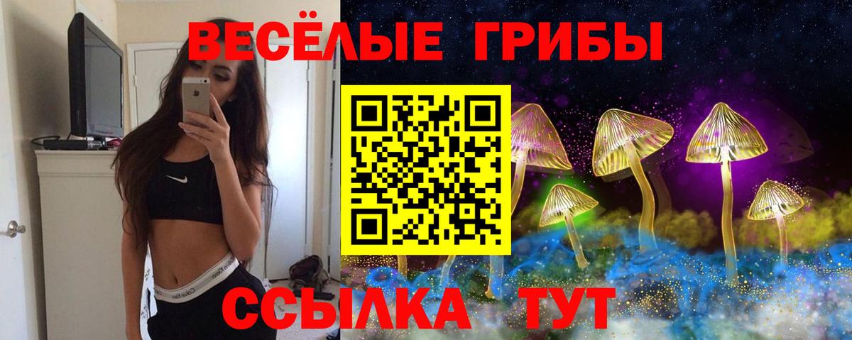 Псилоцибиновые грибы MAGIC MUSHROOMS Ленинск-Кузнецкий