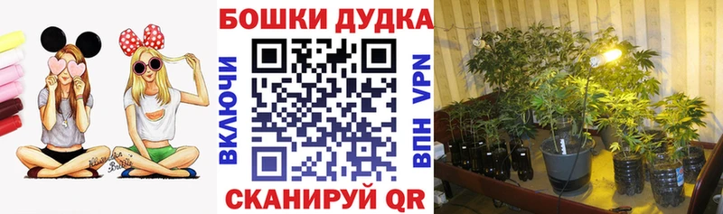 Каннабис White Widow  где продают   Ленинск-Кузнецкий 